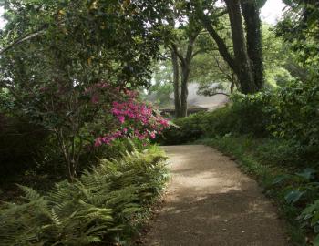 The paths in the Elizabethan Gardens are filled with delights for the senses.