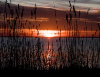 sunset in Corolla, NC over the sound