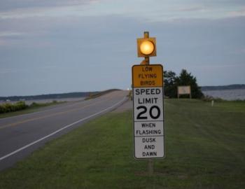 Top speed 20mph to save the purple martins.