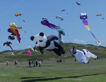 Kites at Wright Kite Festival.