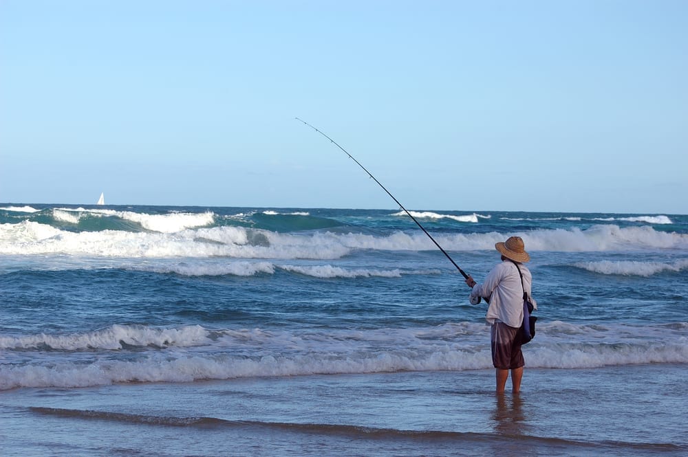 person fishing from shore